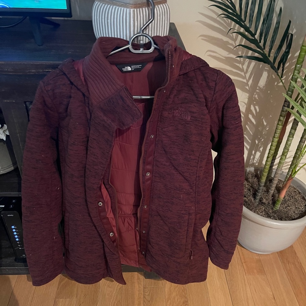 The North Face Winter Jacket